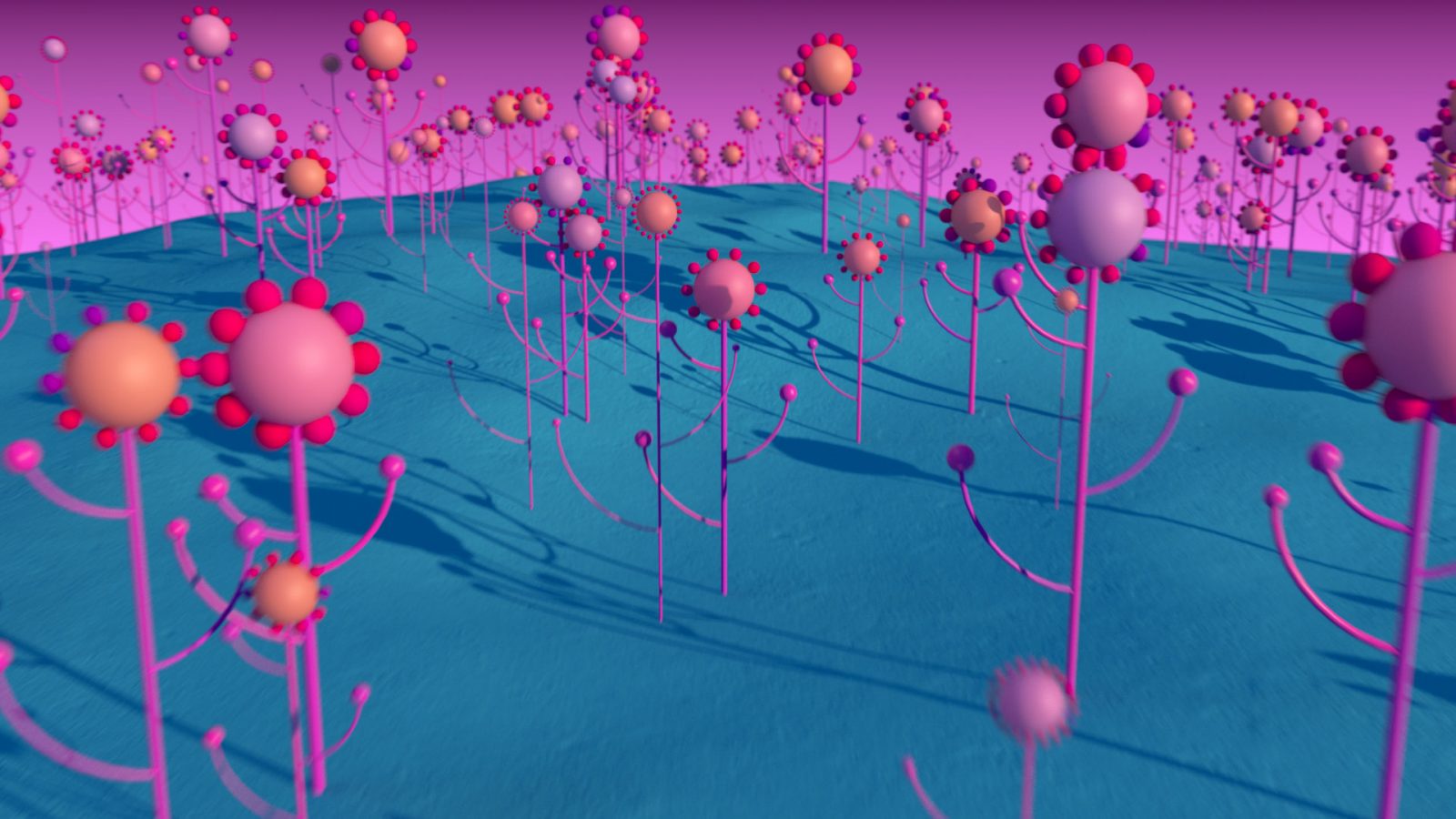 Learn Cinema 4d Fields In One Day Helloluxx